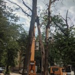 IMG-954a408b346a40da790d6b7e72845474-V