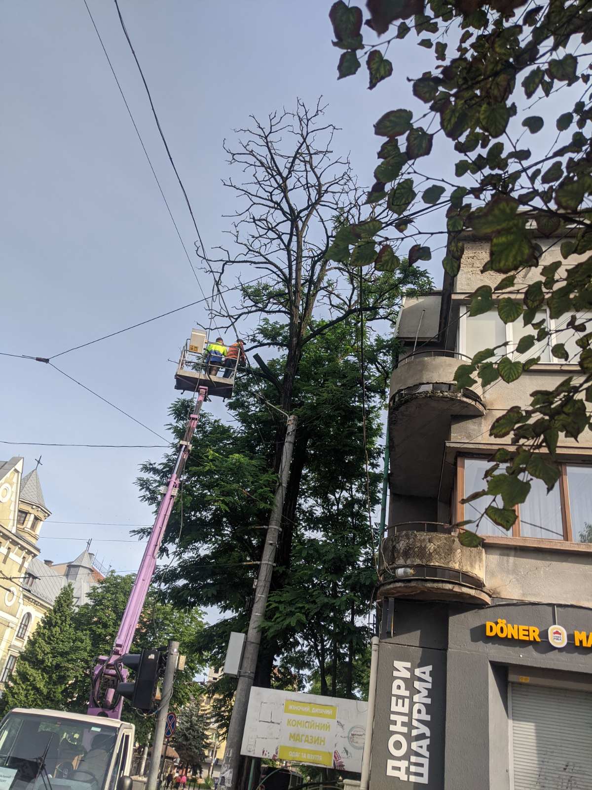 IMG-ae04c808f8e8a15f8c71ec4d591865d0-V