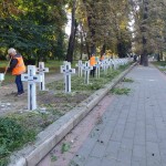 IMG-0320038b23512cb636c9c3bd13852bfb-V