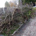 IMG-13dcaaaa5a78a062fe1cd4185f6ac8b2-V