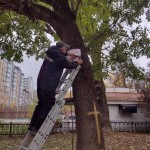 IMG-2c1137fca37845151f317d4c49a89a13-V