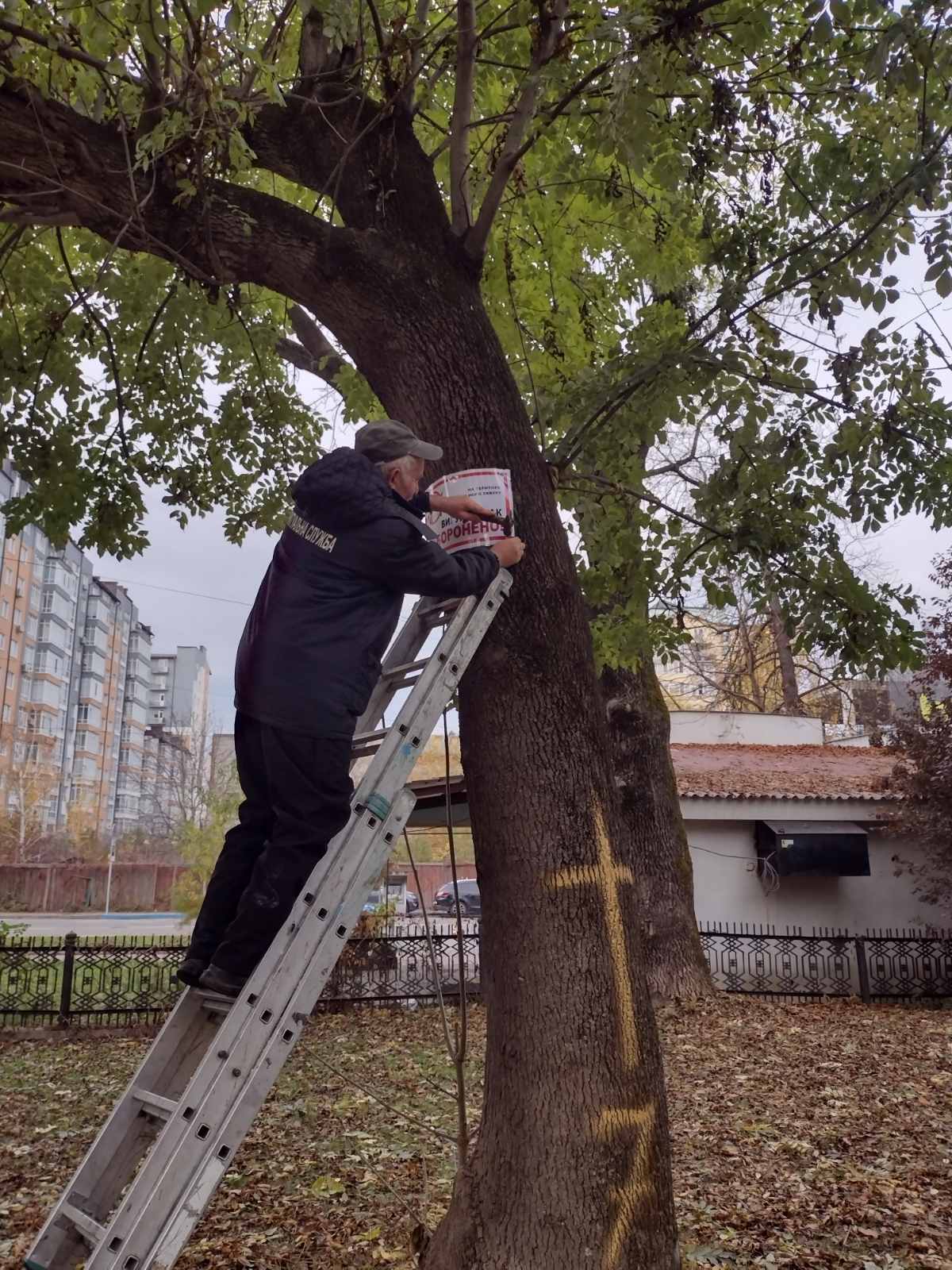 IMG-2c1137fca37845151f317d4c49a89a13-V