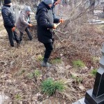 IMG-81d261e563304d452bc69d355cee0ace-V