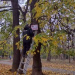 IMG-a96d3d558020793dec9f3264f4d91142-V