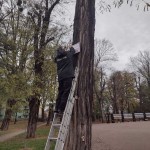 IMG-e5391aca96b3b0500ae8e1a7769468a3-V