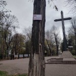 IMG-ef8cbf4c5334458ed5d2d0a8f978c9e4-V