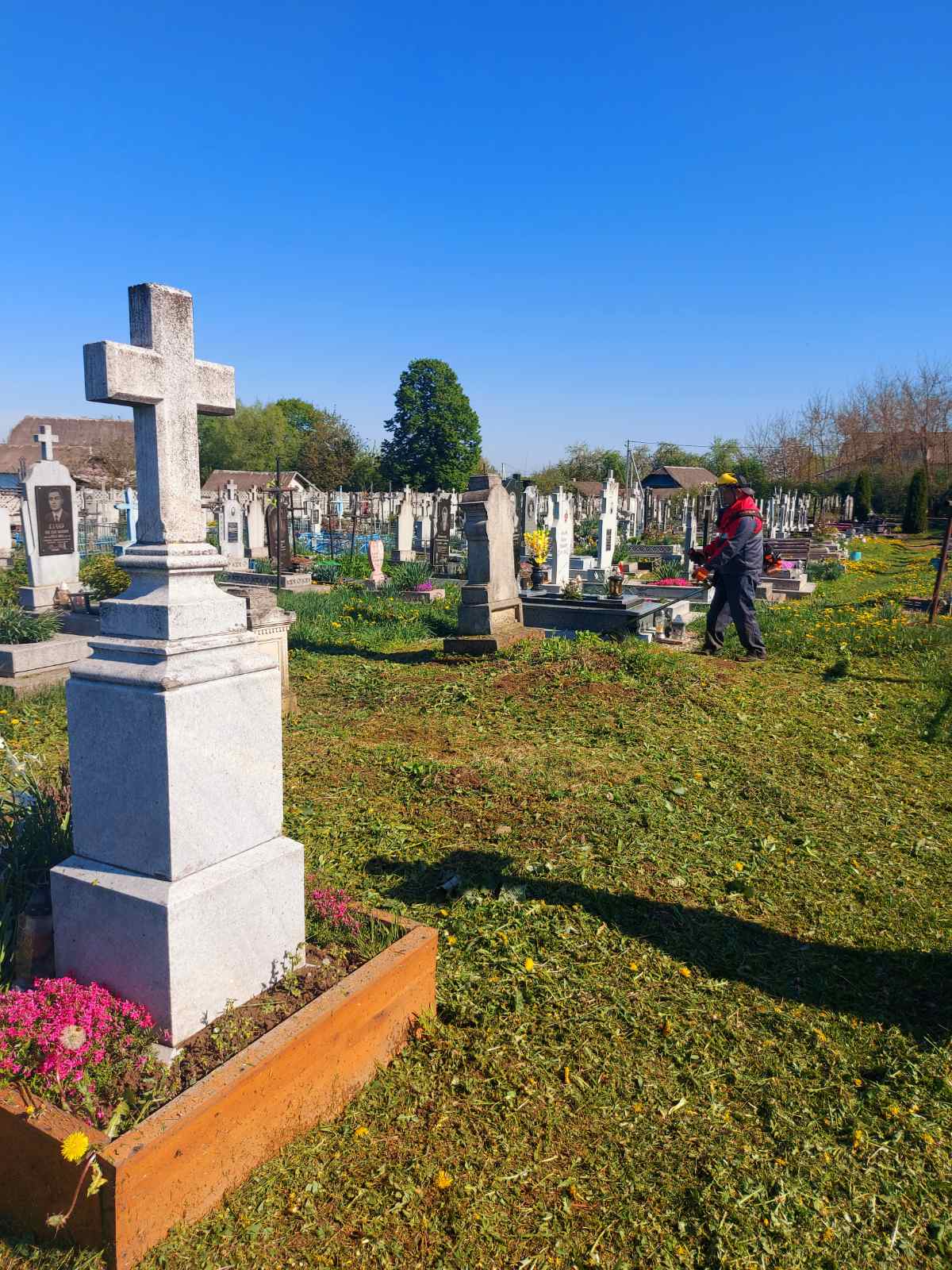 IMG-2397fc9f5e16c9ea04ff0c76b025c360-V