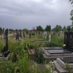 IMG-6a706f14cc4a4181030b10264a02c7c2-V