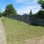 IMG-20240618-WA0004