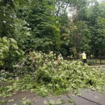 IMG-20240622-WA0014(1)