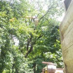 IMG-20240624-WA0012