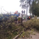 IMG-20240627-WA0010