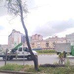 IMG-20240627-WA0012