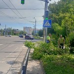 IMG-20240627-WA0013