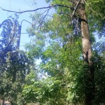 IMG-20240628-WA0003