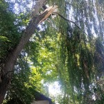IMG-20240628-WA0004