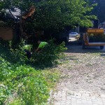 IMG-20240628-WA0008