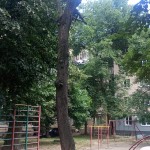 IMG-20240718-WA0000
