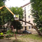 IMG-20240718-WA0001