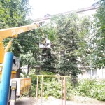 IMG-20240718-WA0002