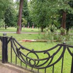IMG-2befd9548e92f1bd0c4f5a48459edcbe-V
