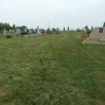 IMG-d20cc845d6ef532d8b8cd638b68f81e5-V