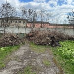 IMG-20250409-WA0000