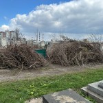 IMG-20250409-WA0004