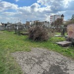 IMG-20250409-WA0005