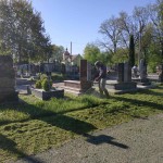 IMG-59cd04e2f5b22bb0a90f7e4d401382e7-V
