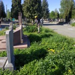 IMG-e4f0c7192e1596ee56a5ab5dd2f5db6a-V